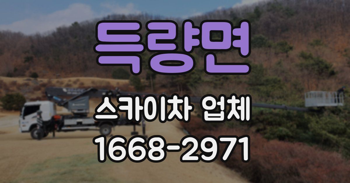 득량면 스카이차 업체