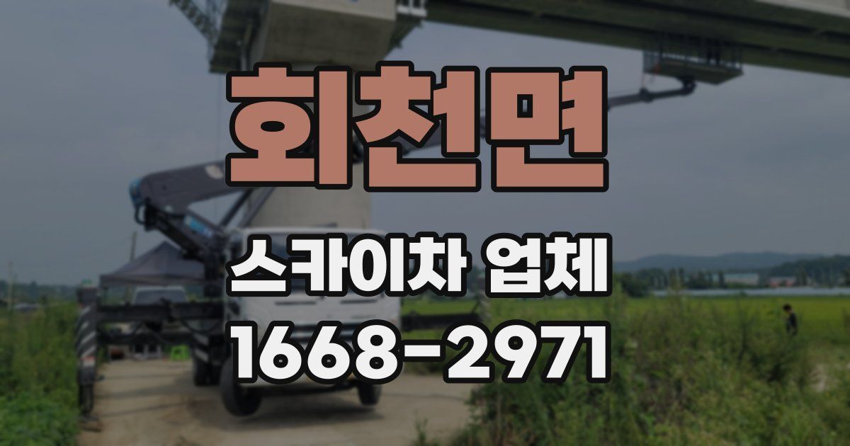 회천면 스카이차 업체