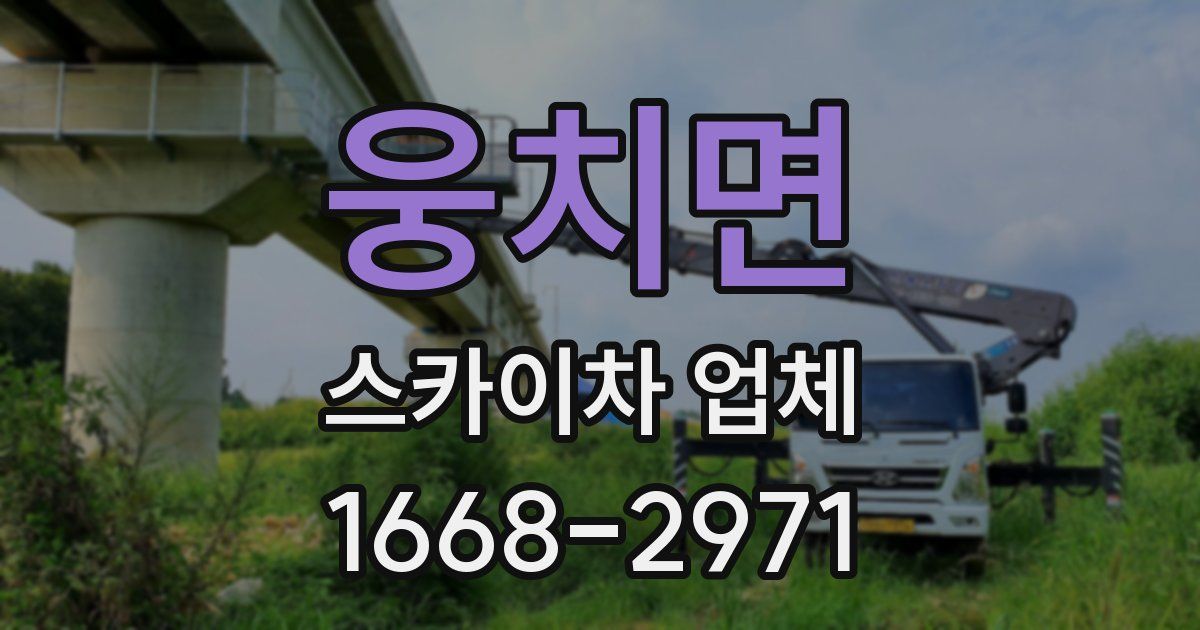 웅치면 스카이차 업체