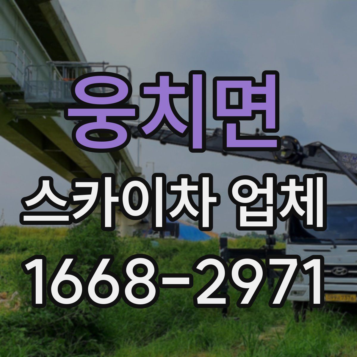 웅치면 스카이차 업체