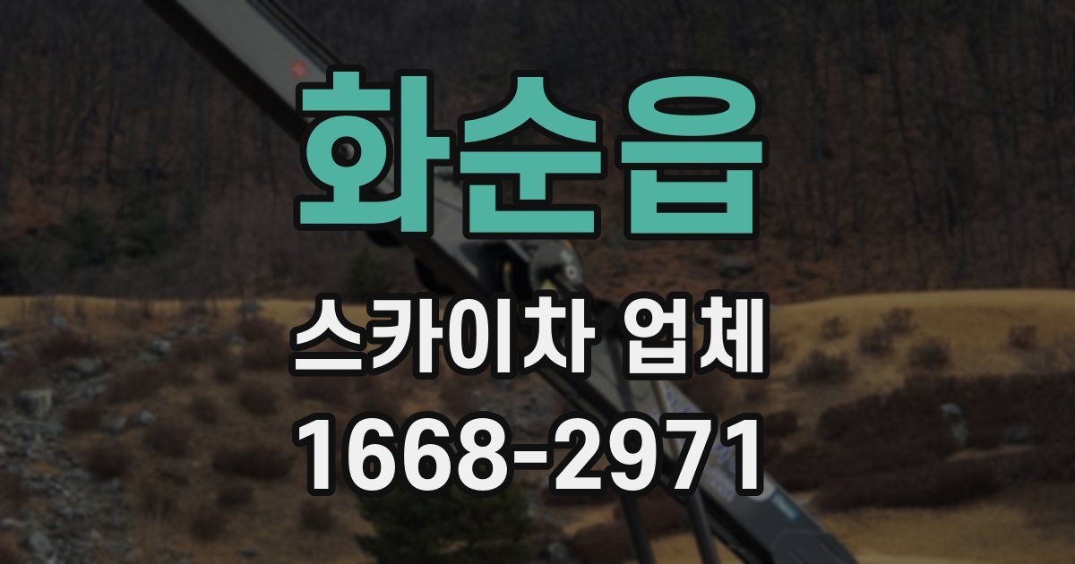 화순읍 스카이차 업체
