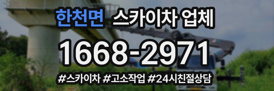 한천면 스카이차 업체