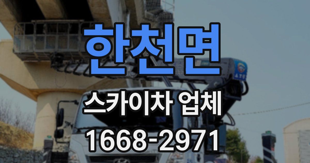 한천면 스카이차 업체