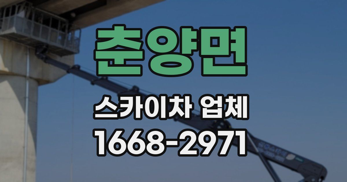 춘양면 스카이차 업체