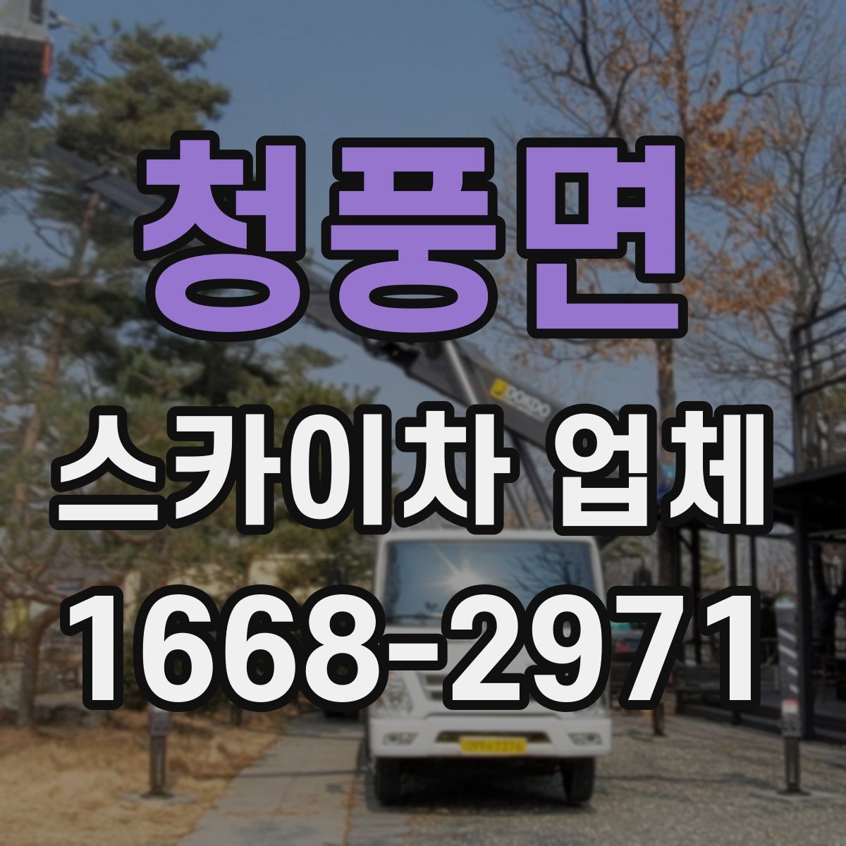 청풍면 스카이차 업체