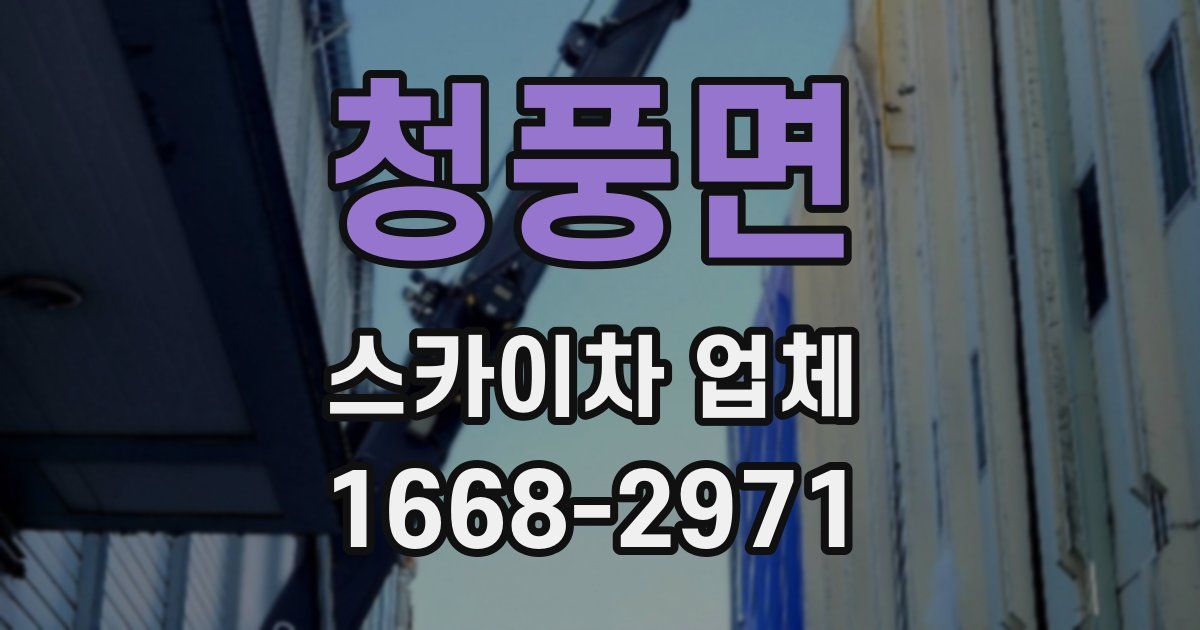 청풍면 스카이차 업체