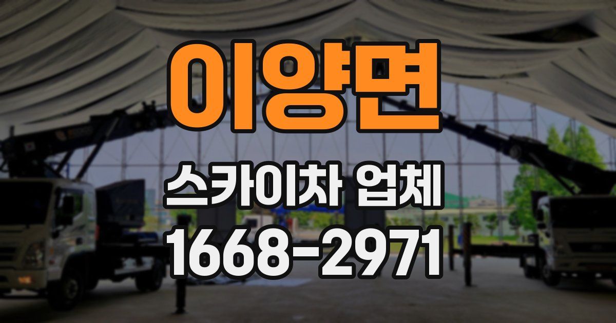 이양면 스카이차 업체