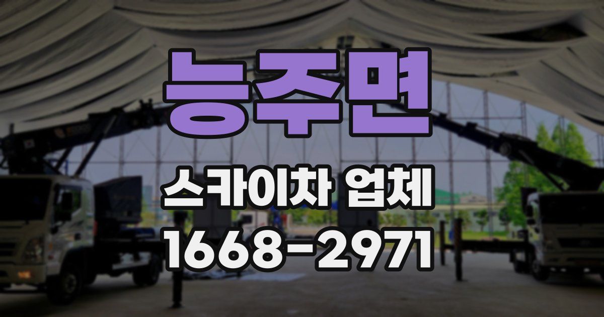 능주면 스카이차 업체