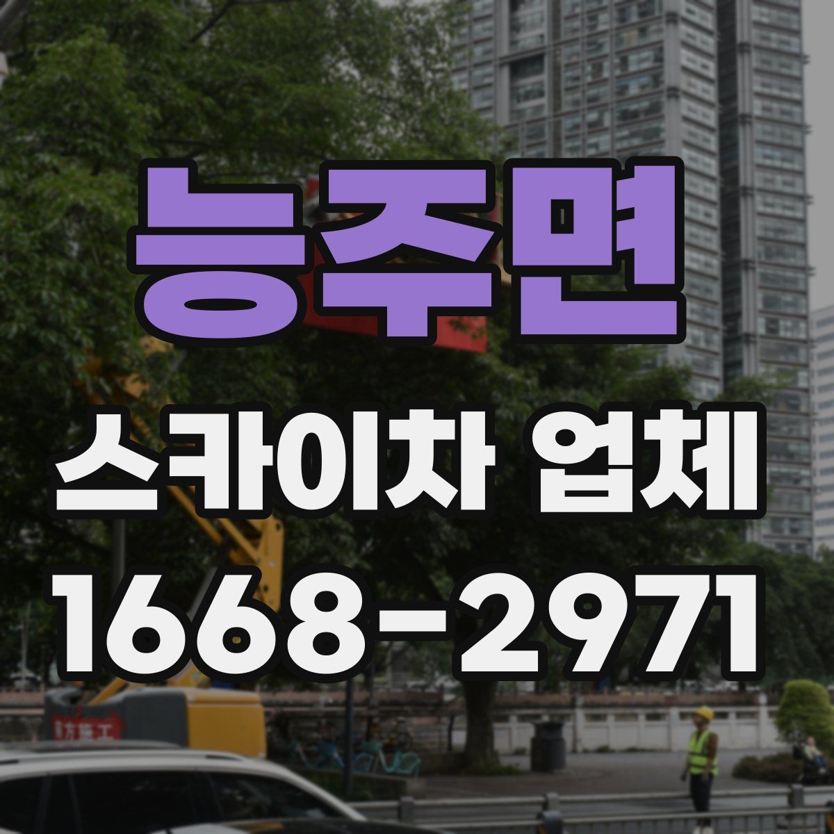능주면 스카이차 업체