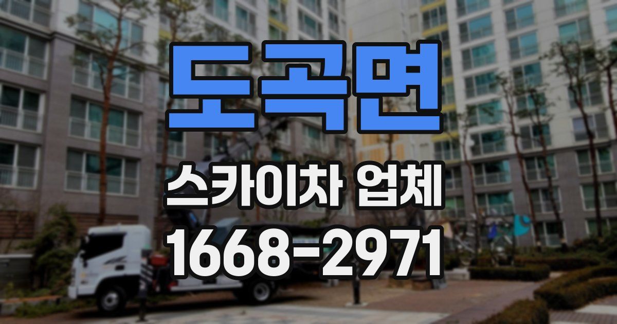 도곡면 스카이차 업체
