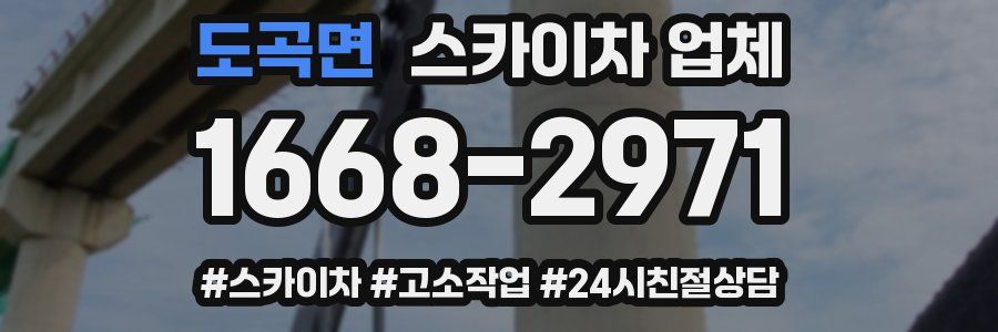 도곡면 스카이차 업체
