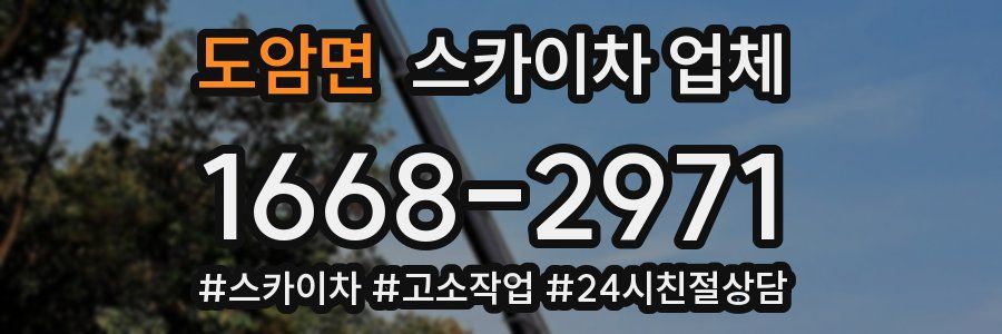도암면 스카이차 업체