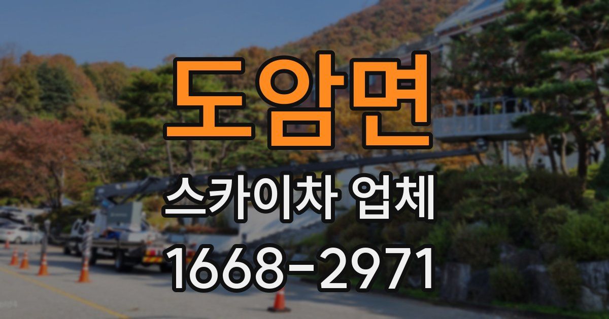 도암면 스카이차 업체