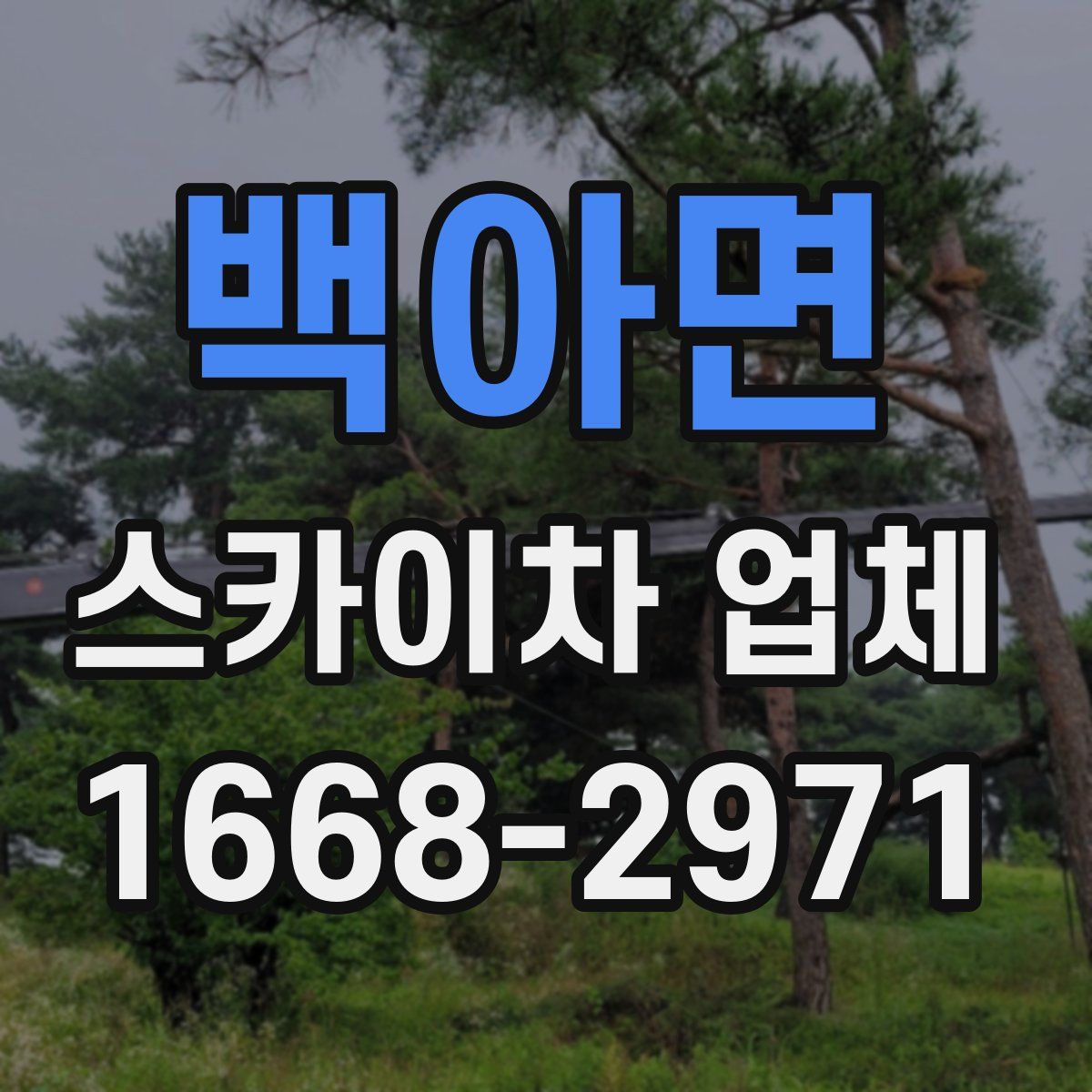 백아면 스카이차 업체