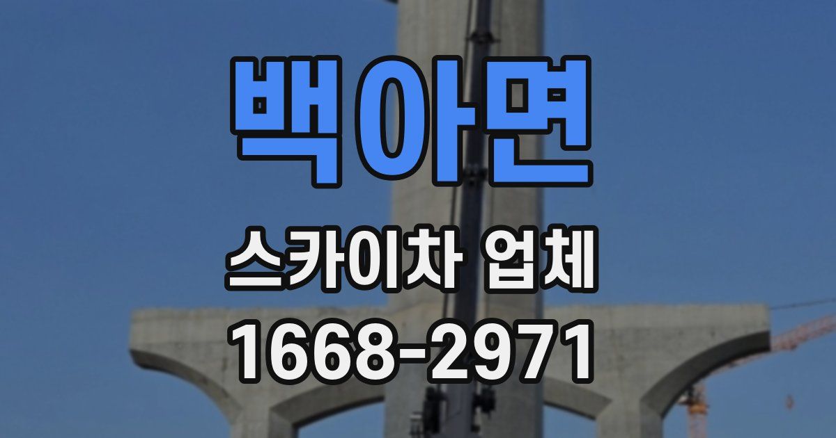 백아면 스카이차 업체