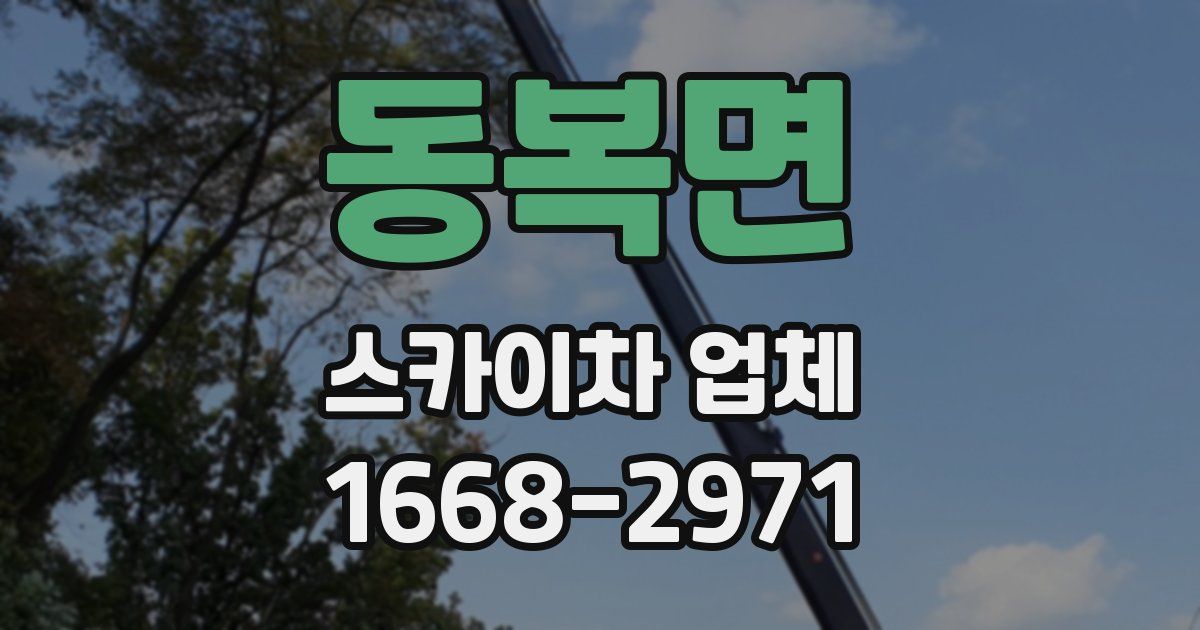 동복면 스카이차 업체