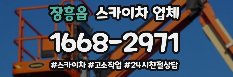 장흥읍 스카이차 업체