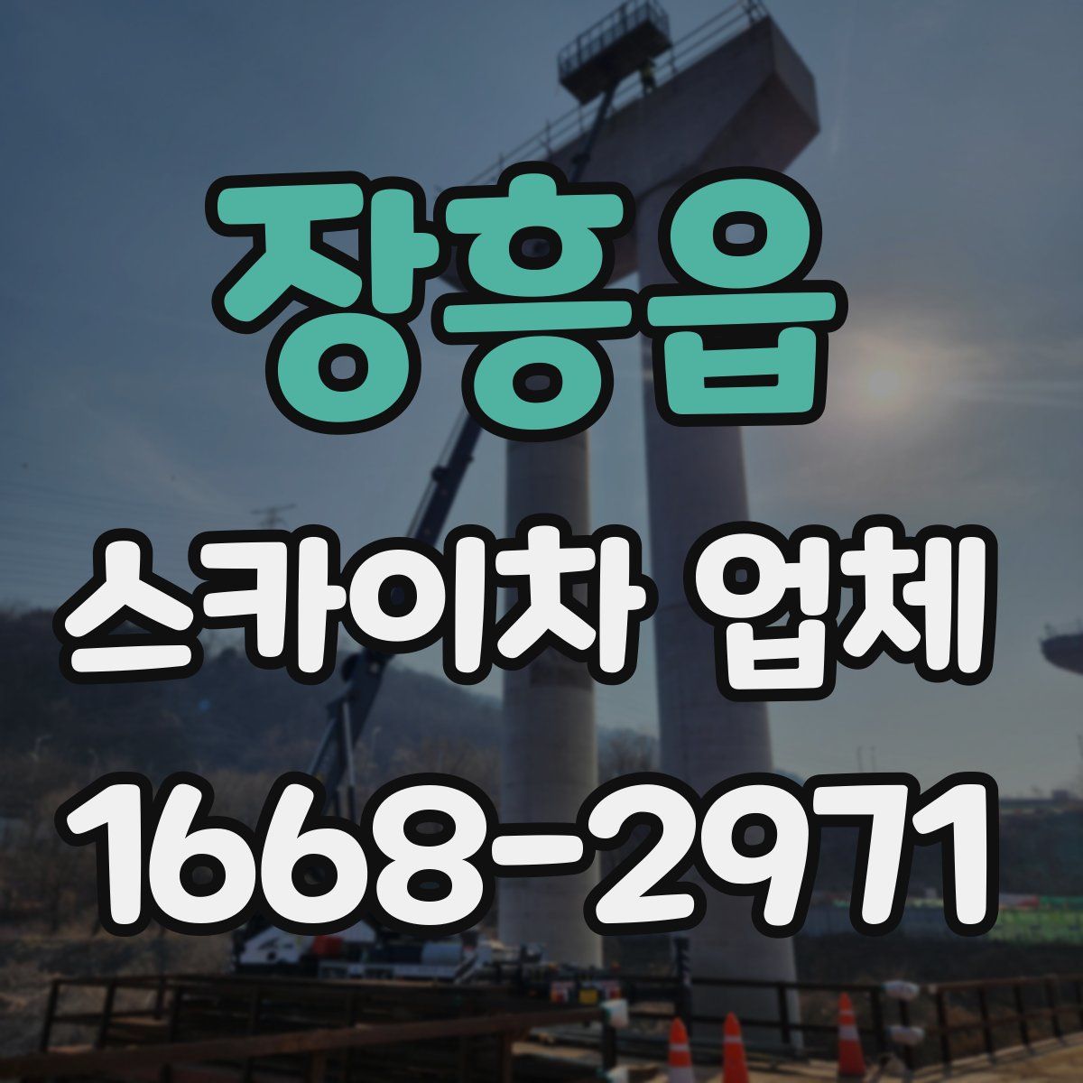 장흥읍 스카이차 업체