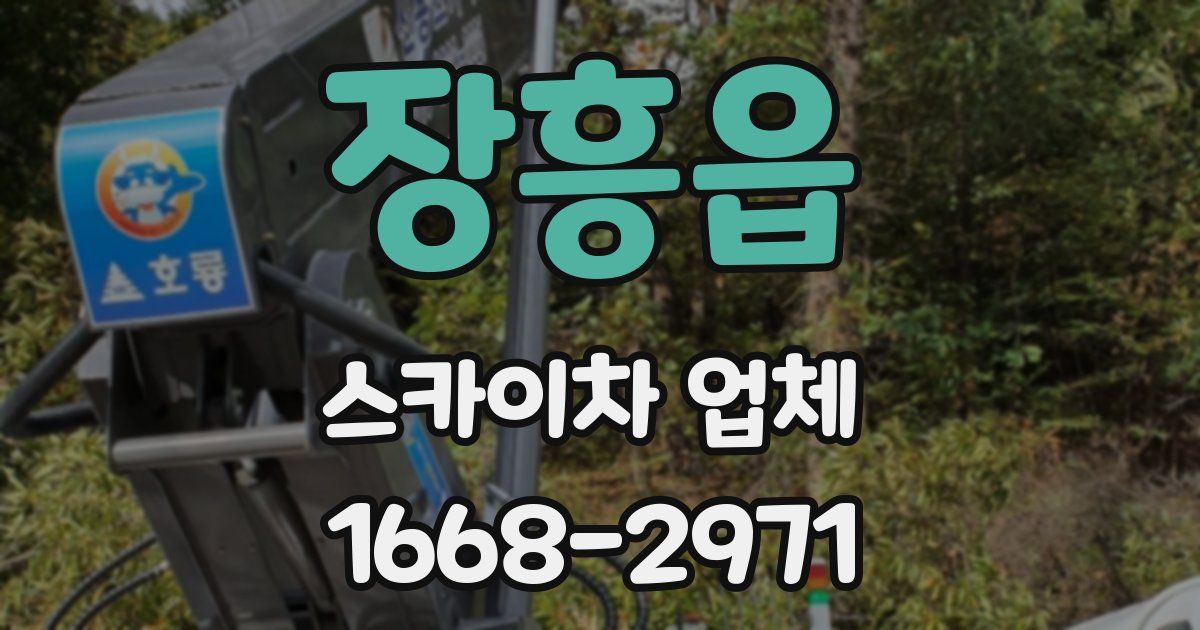 장흥읍 스카이차 업체