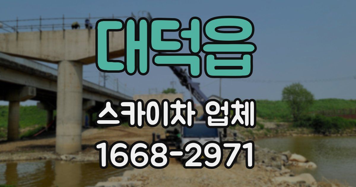 대덕읍 스카이차 업체