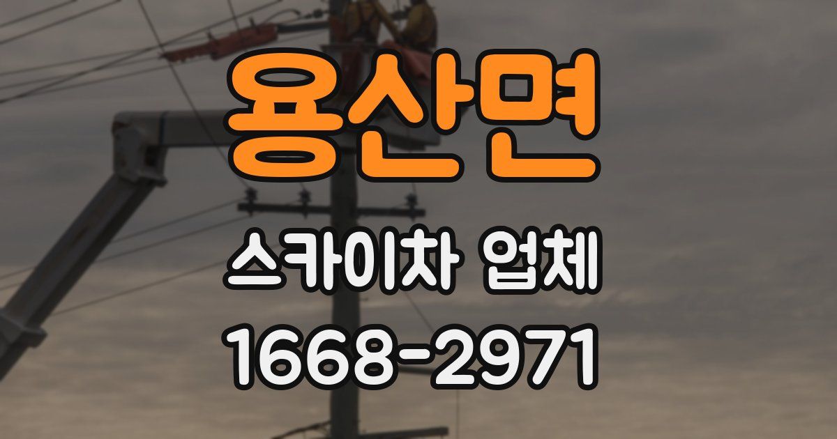 용산면 스카이차 업체