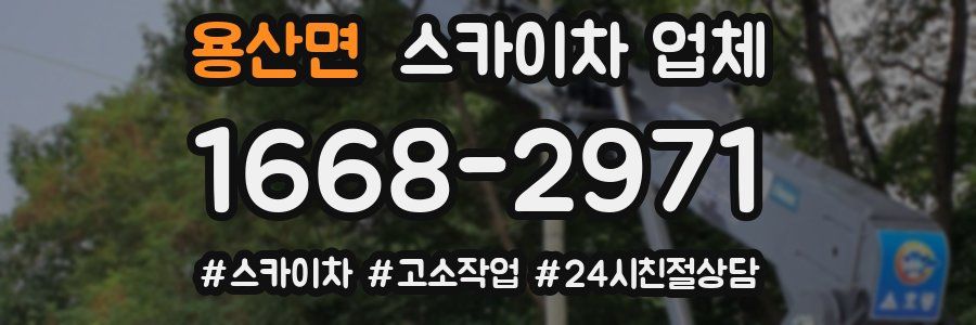 용산면 스카이차 업체