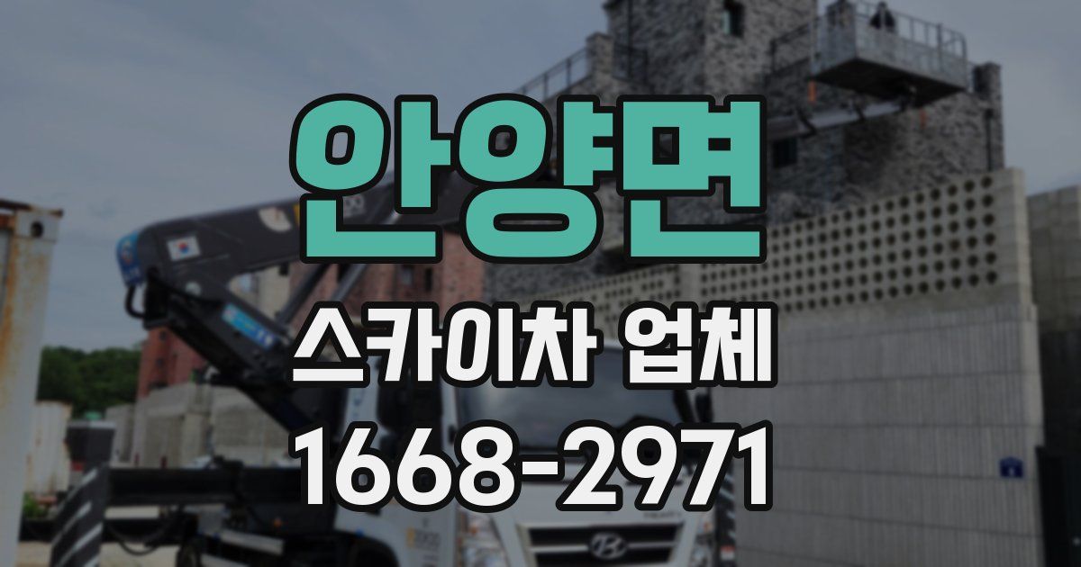 안양면 스카이차 업체