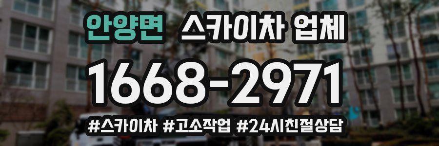 안양면 스카이차 업체