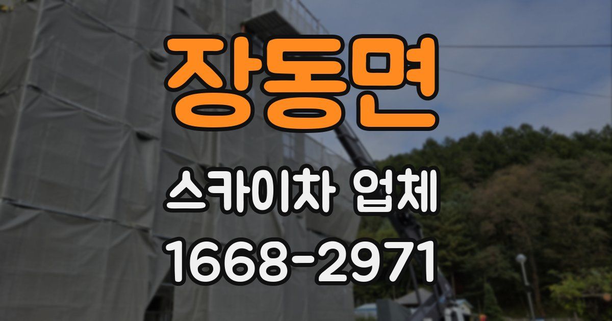 장동면 스카이차 업체