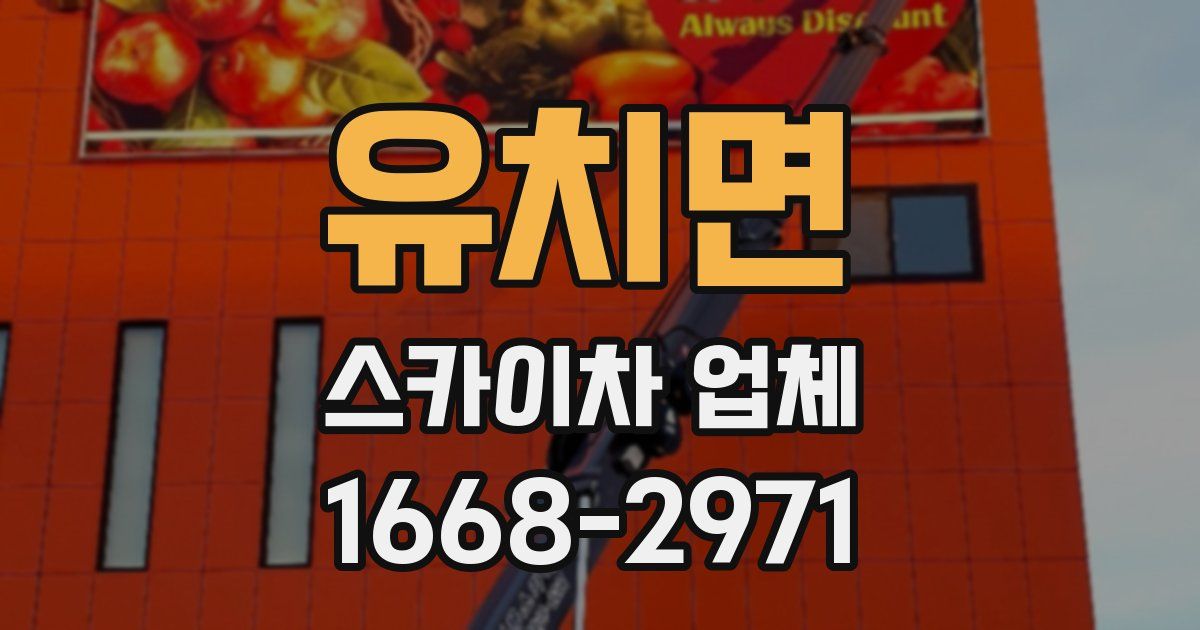 유치면 스카이차 업체
