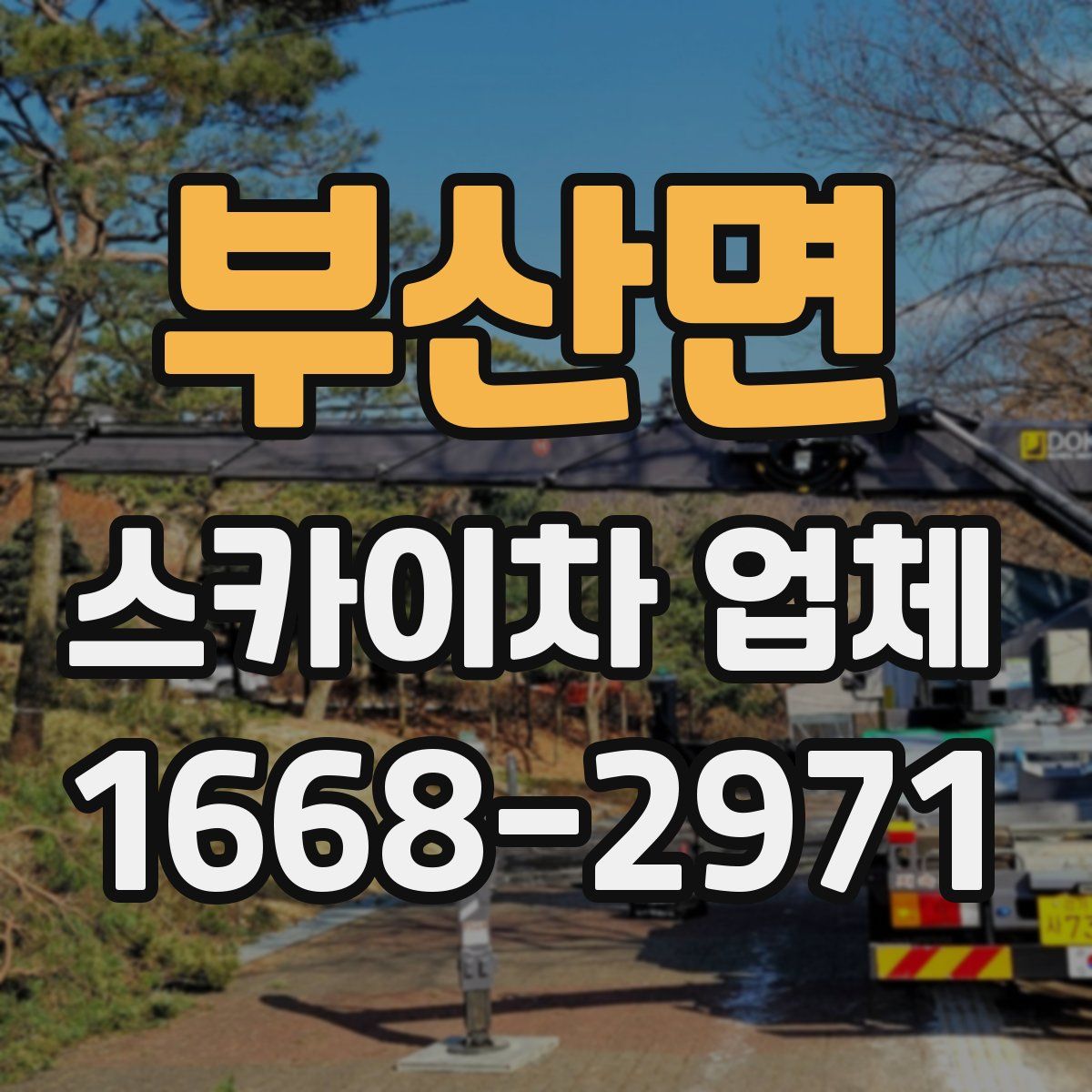 부산면 스카이차 업체