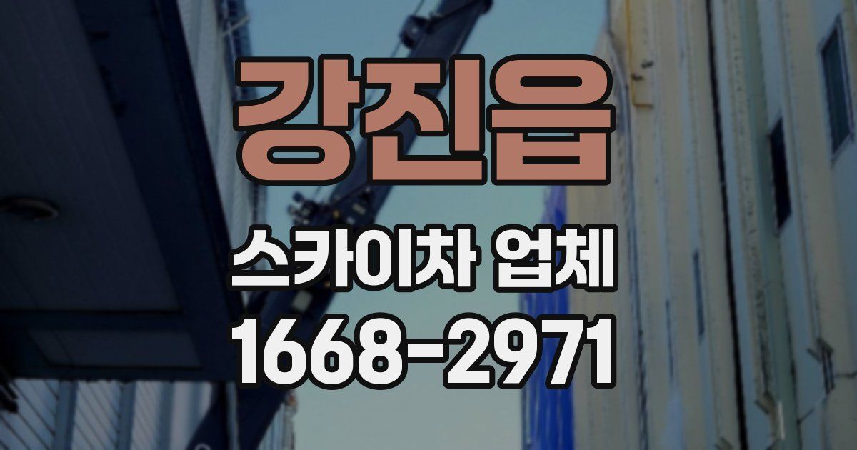 강진읍 스카이차 업체