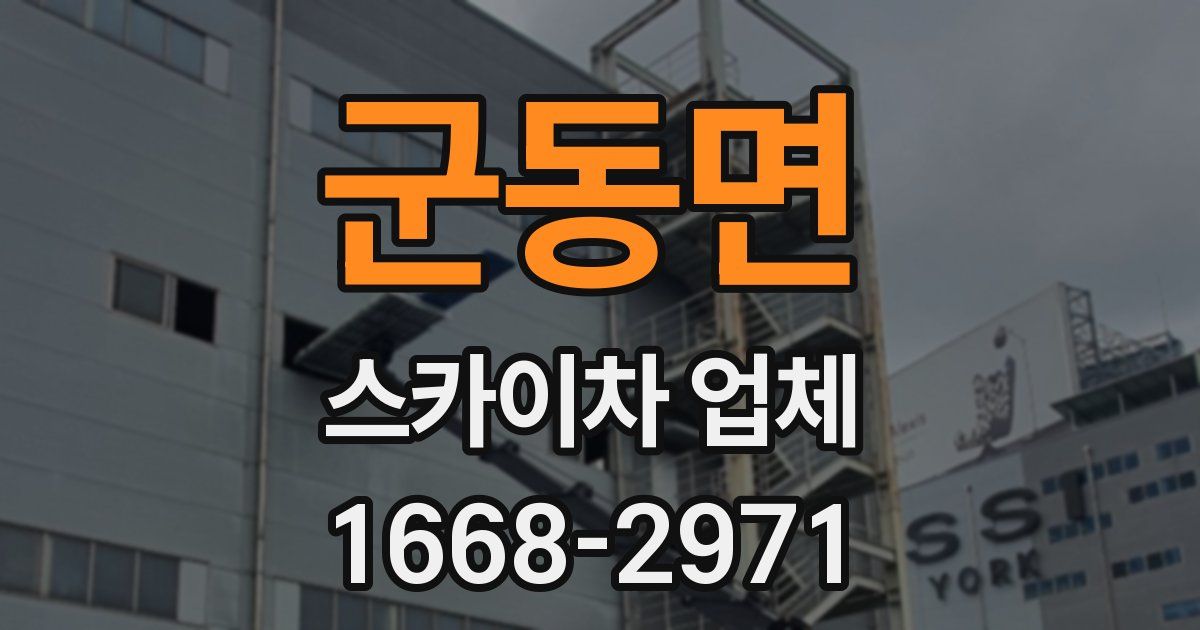 군동면 스카이차 업체