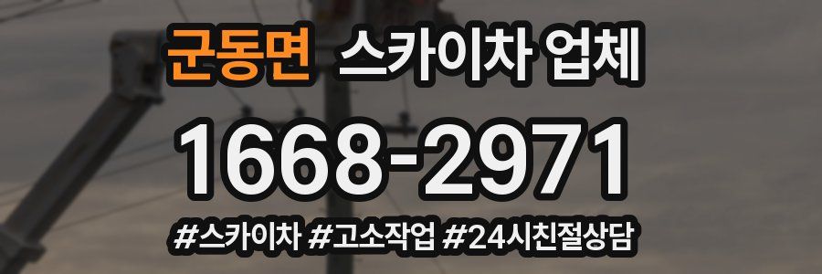 군동면 스카이차 업체