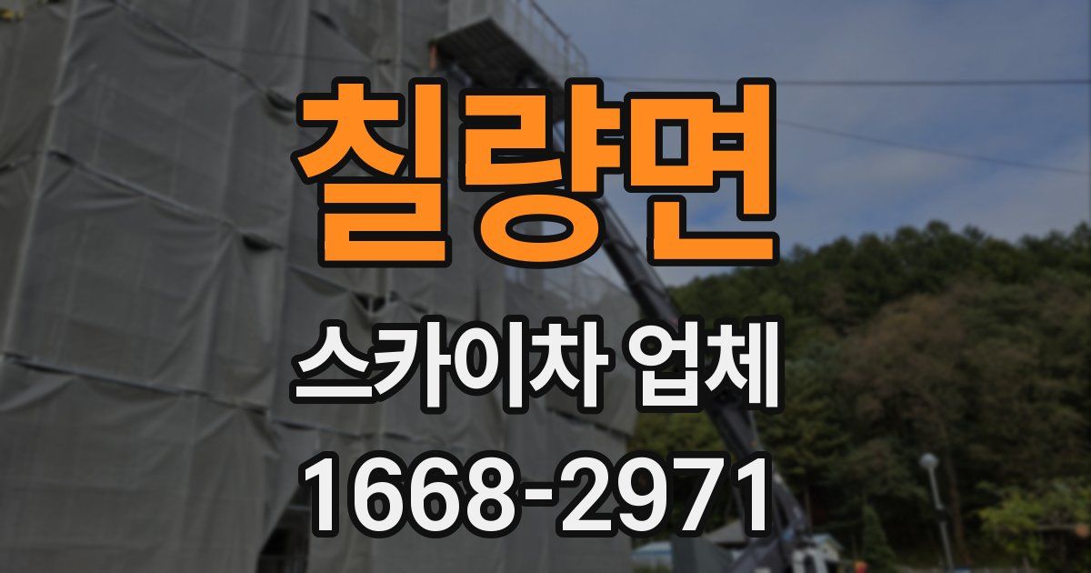 칠량면 스카이차 업체