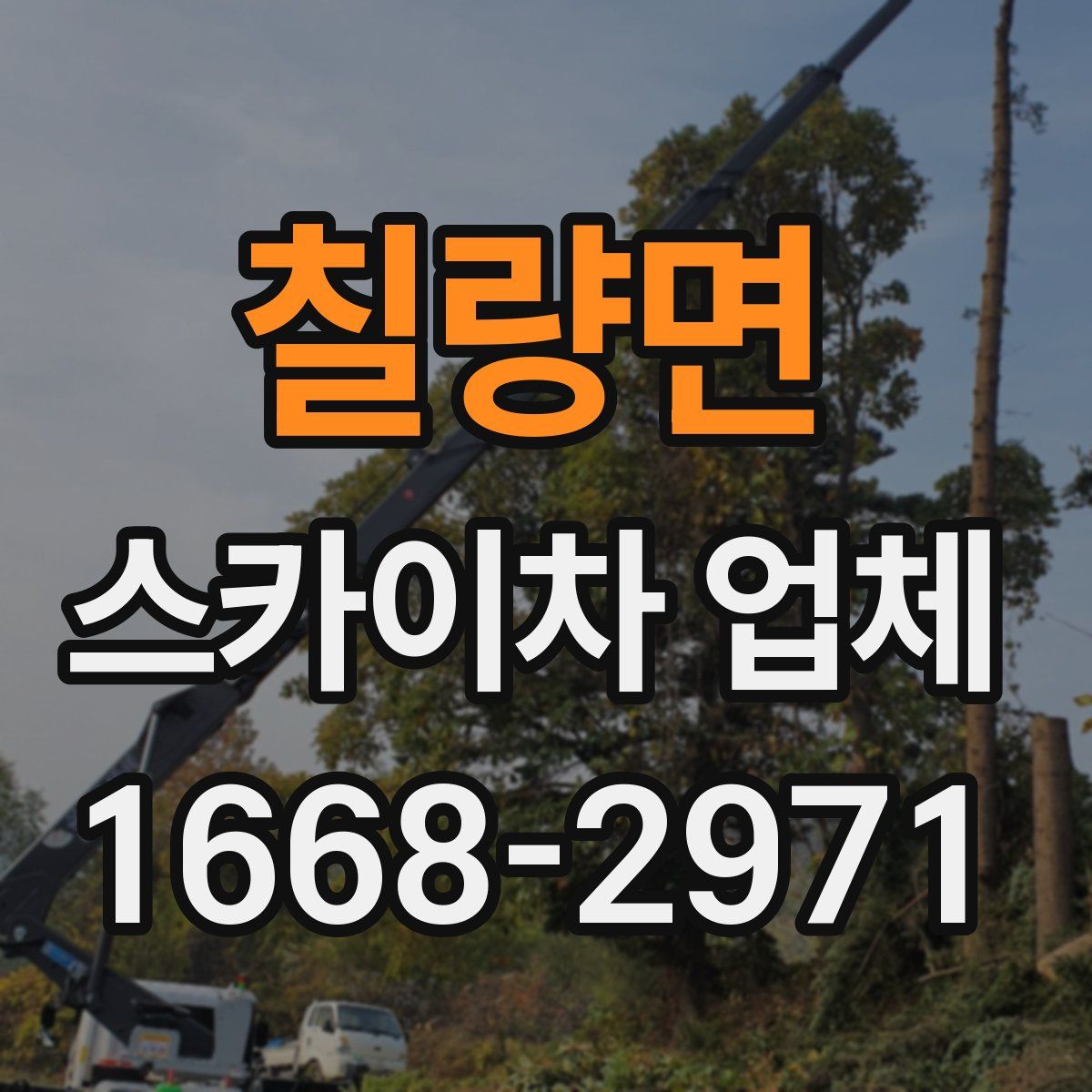 칠량면 스카이차 업체