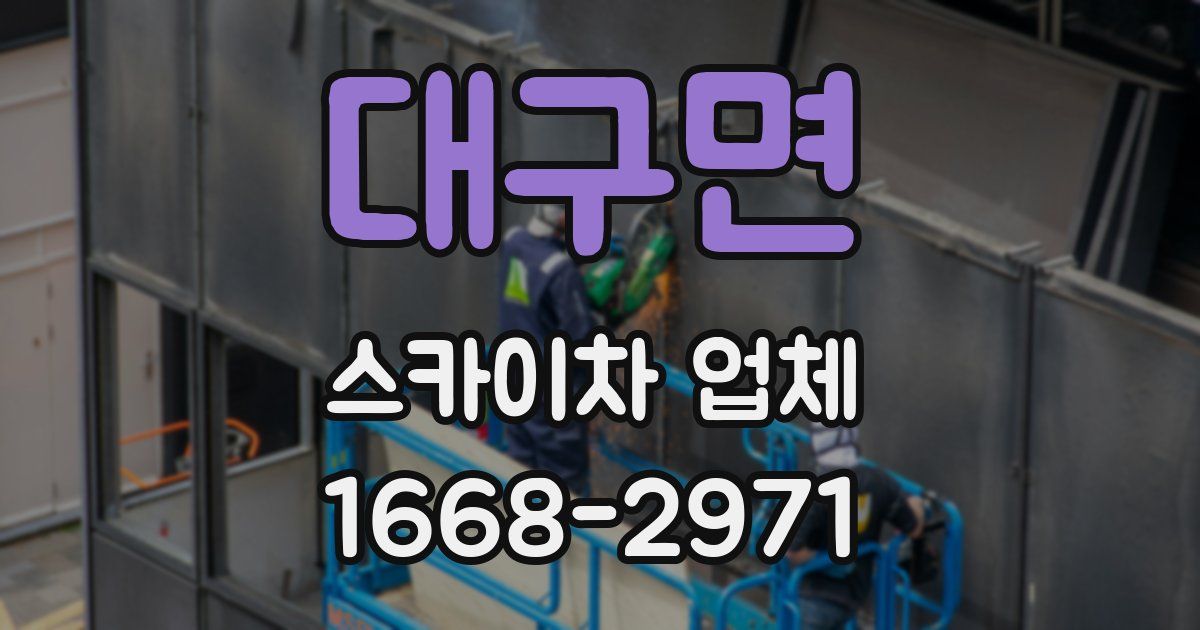 대구면 스카이차 업체