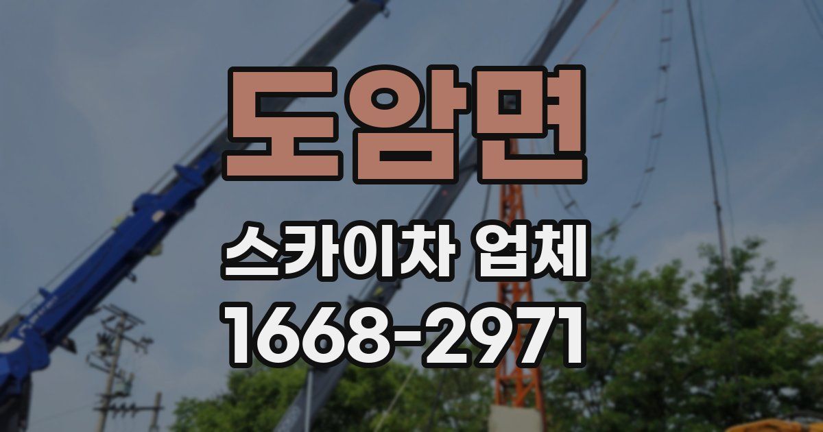도암면 스카이차 업체