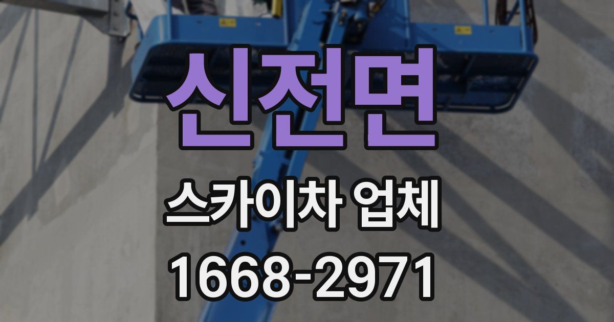 신전면 스카이차 업체