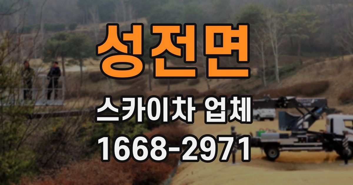 성전면 스카이차 업체