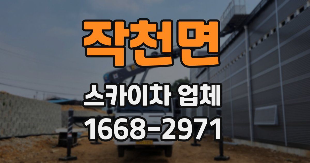 작천면 스카이차 업체