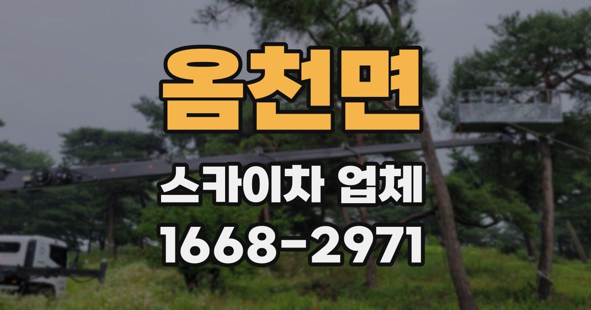 옴천면 스카이차 업체
