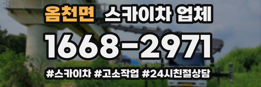 옴천면 스카이차 업체