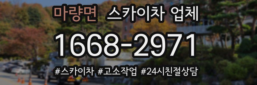 마량면 스카이차 업체