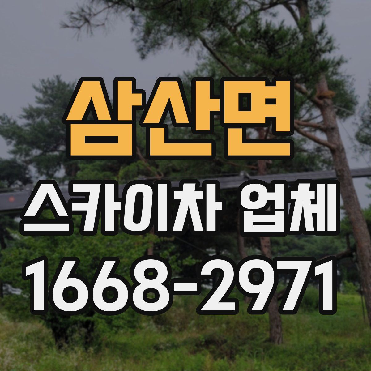삼산면 스카이차 업체