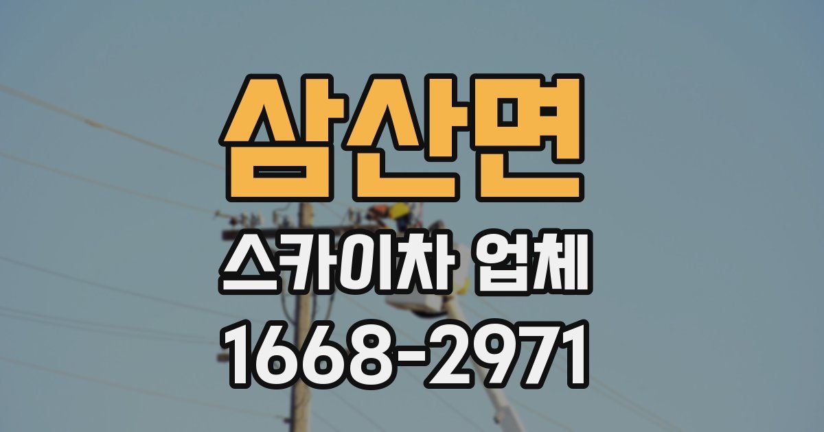 삼산면 스카이차 업체