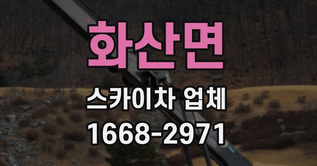화산면 스카이차 업체