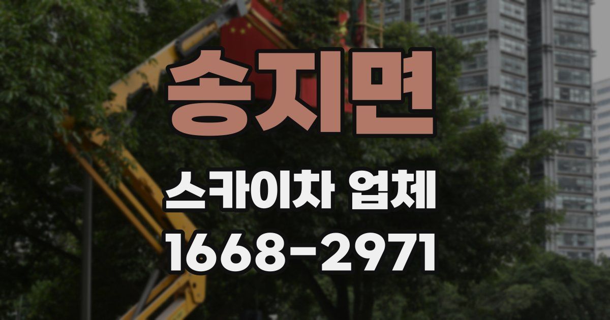 송지면 스카이차 업체