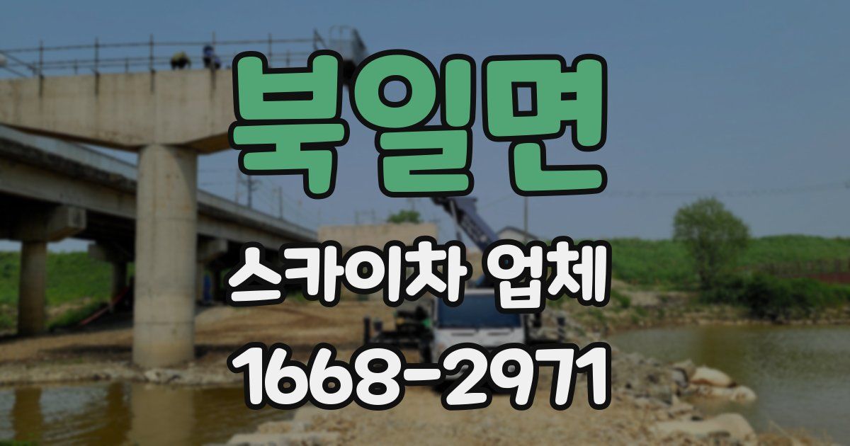 북일면 스카이차 업체