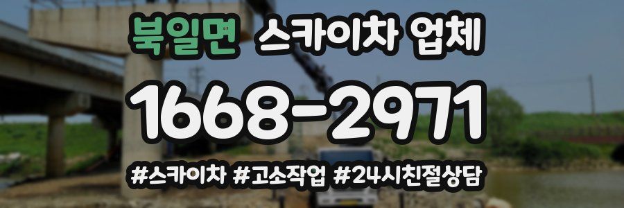 북일면 스카이차 업체